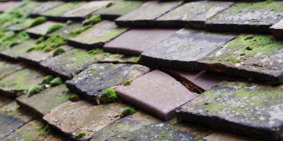 Stone roof repair costs